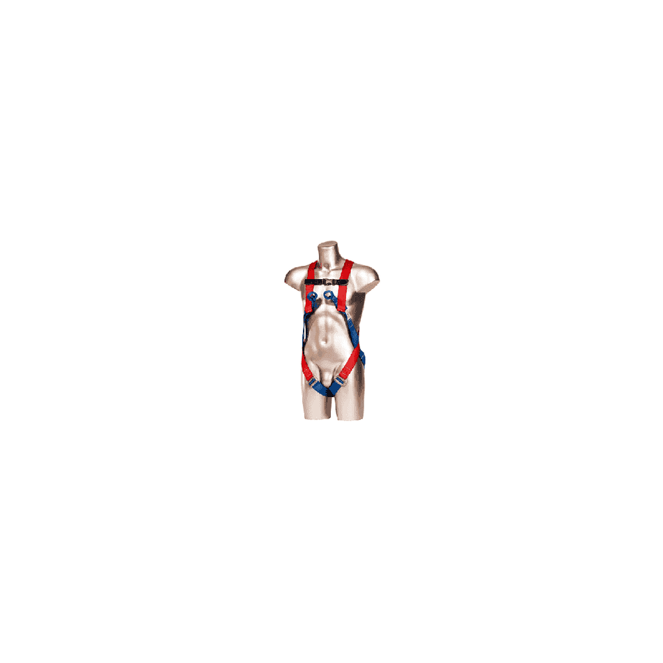 2-Point Harness