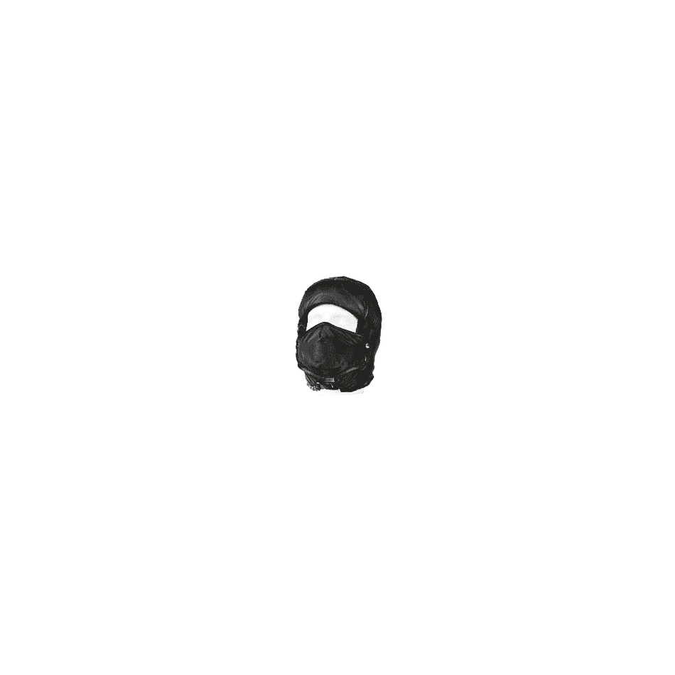 Winter Trapper Hat