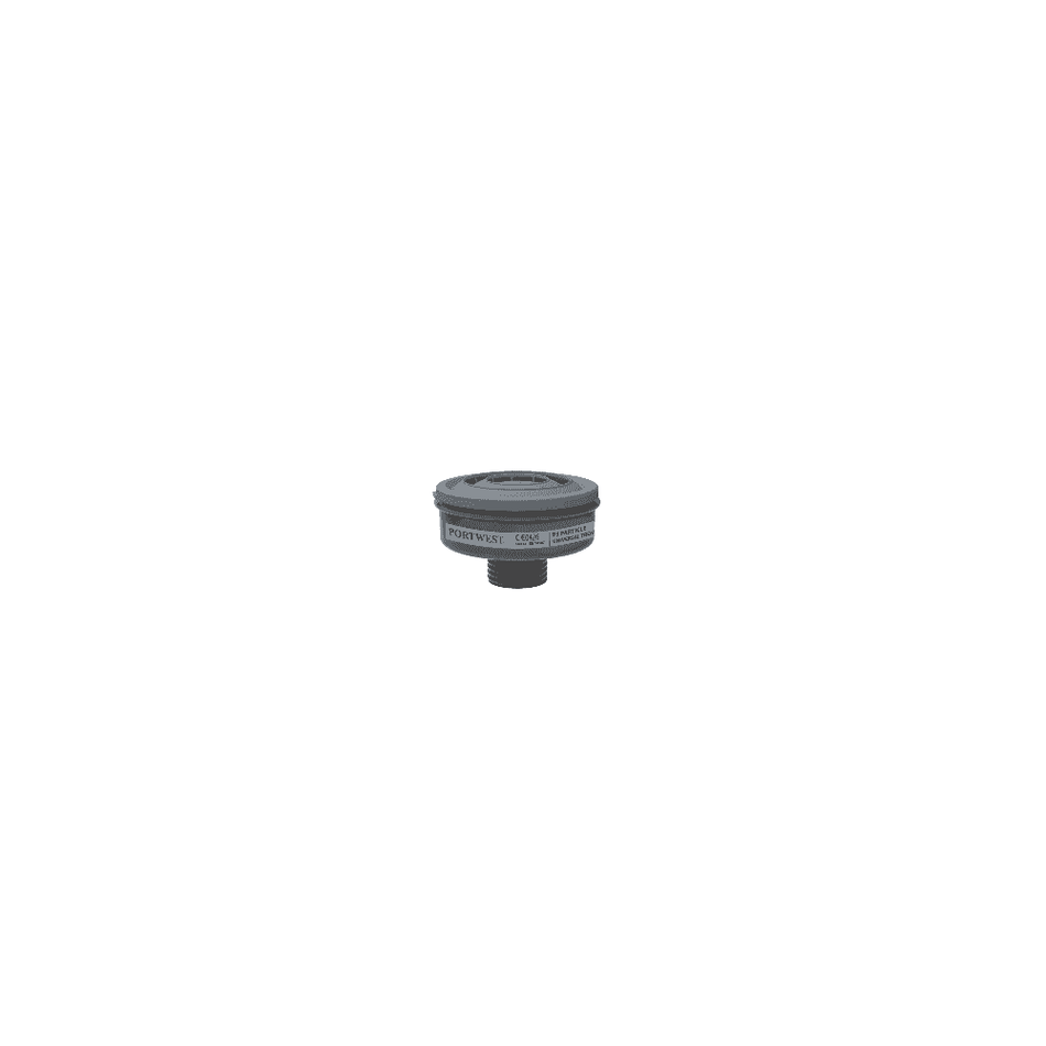 P3 Particle Filter (Pk6)
