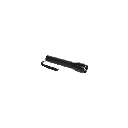 Taskforce Security Torch