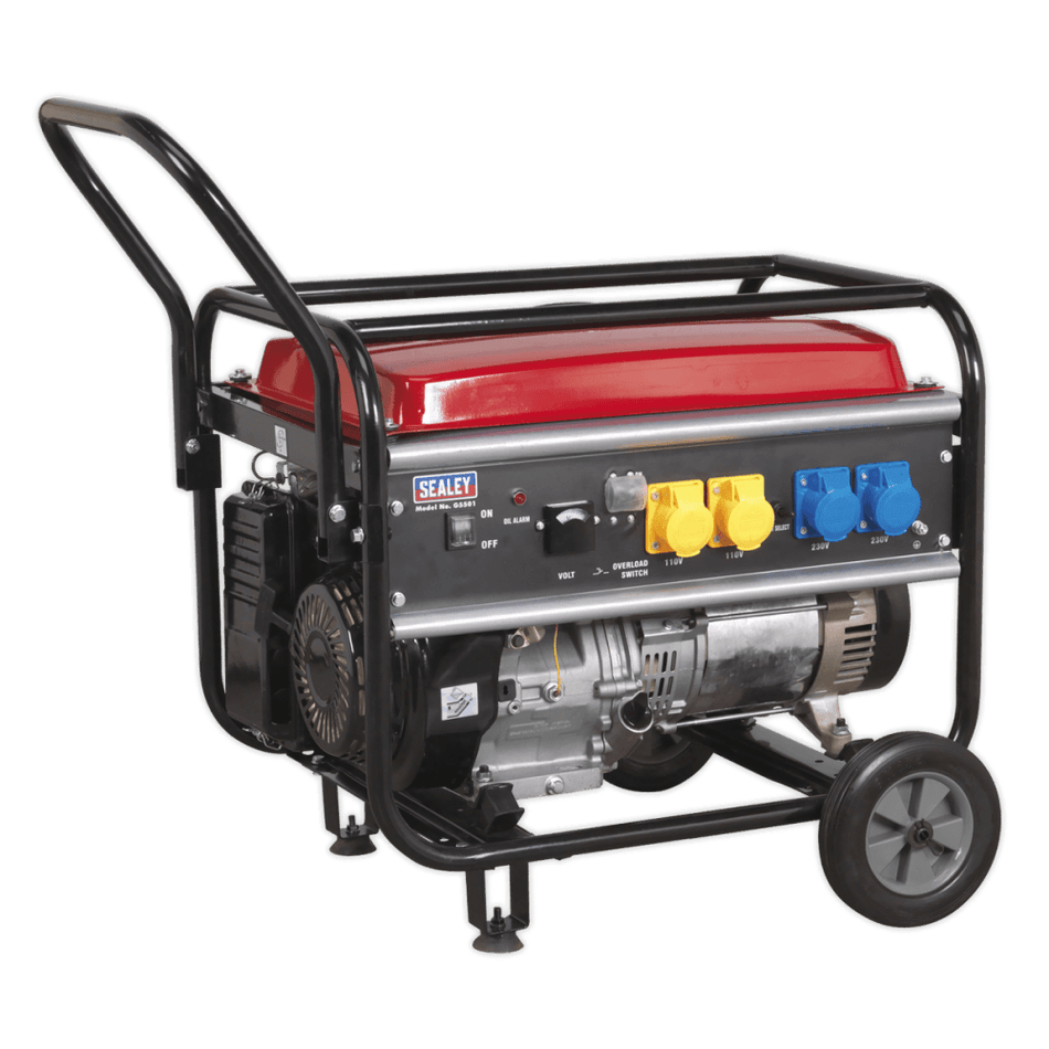 Generator 5500W 110/230V 13hp Model No.-21807