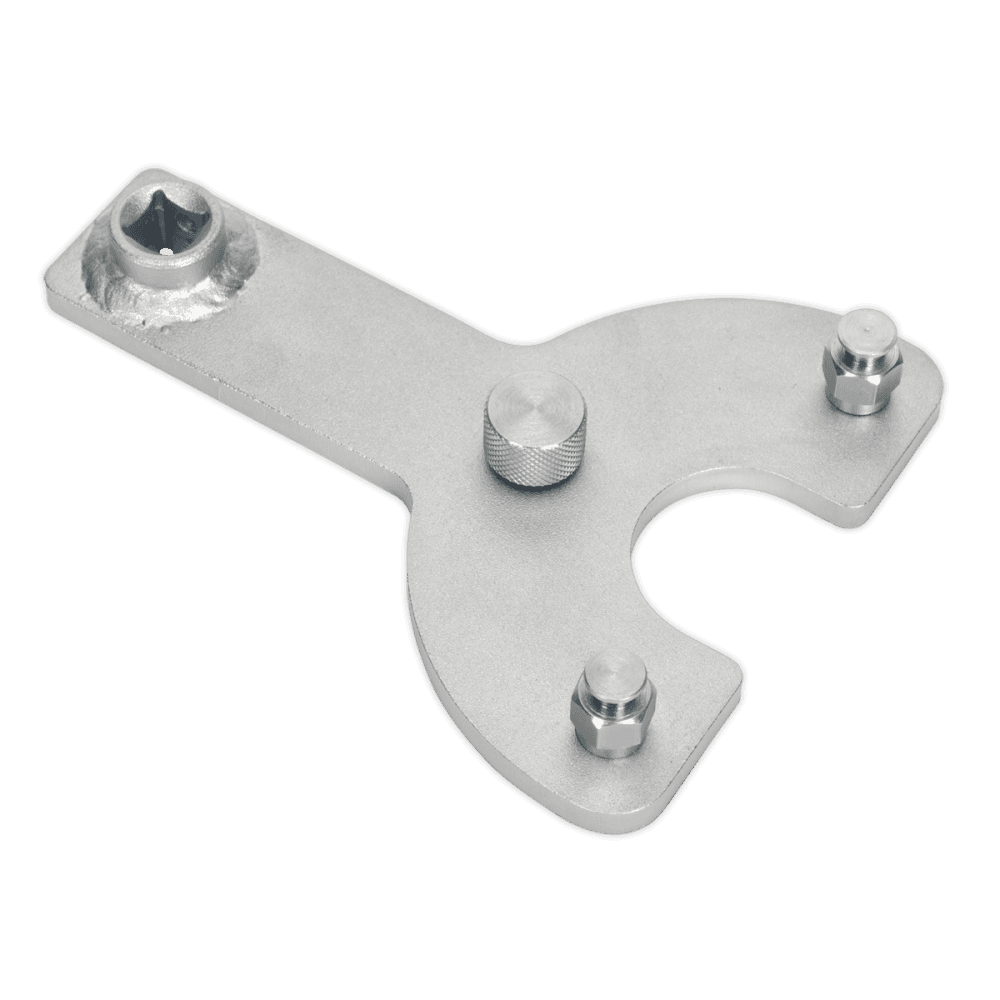 Crankshaft Pulley Holder - VAG Model No.-22163