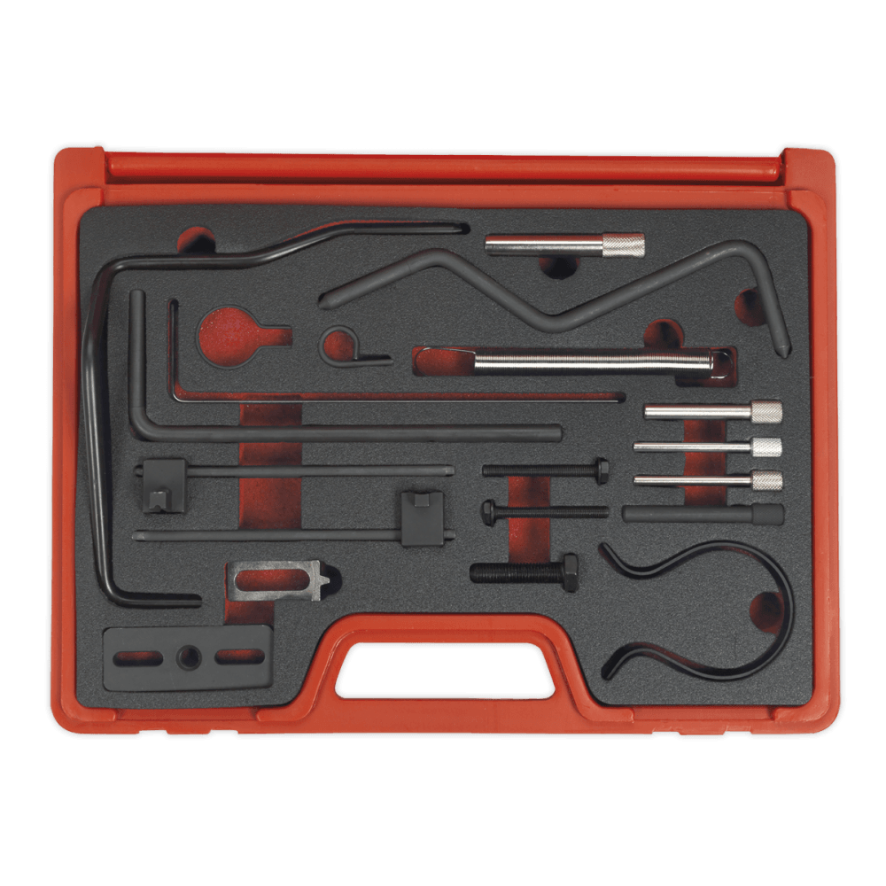 Diesel Engine Setting & Locking Kit - PSA/Ford - Belt Drive Model No.-22173