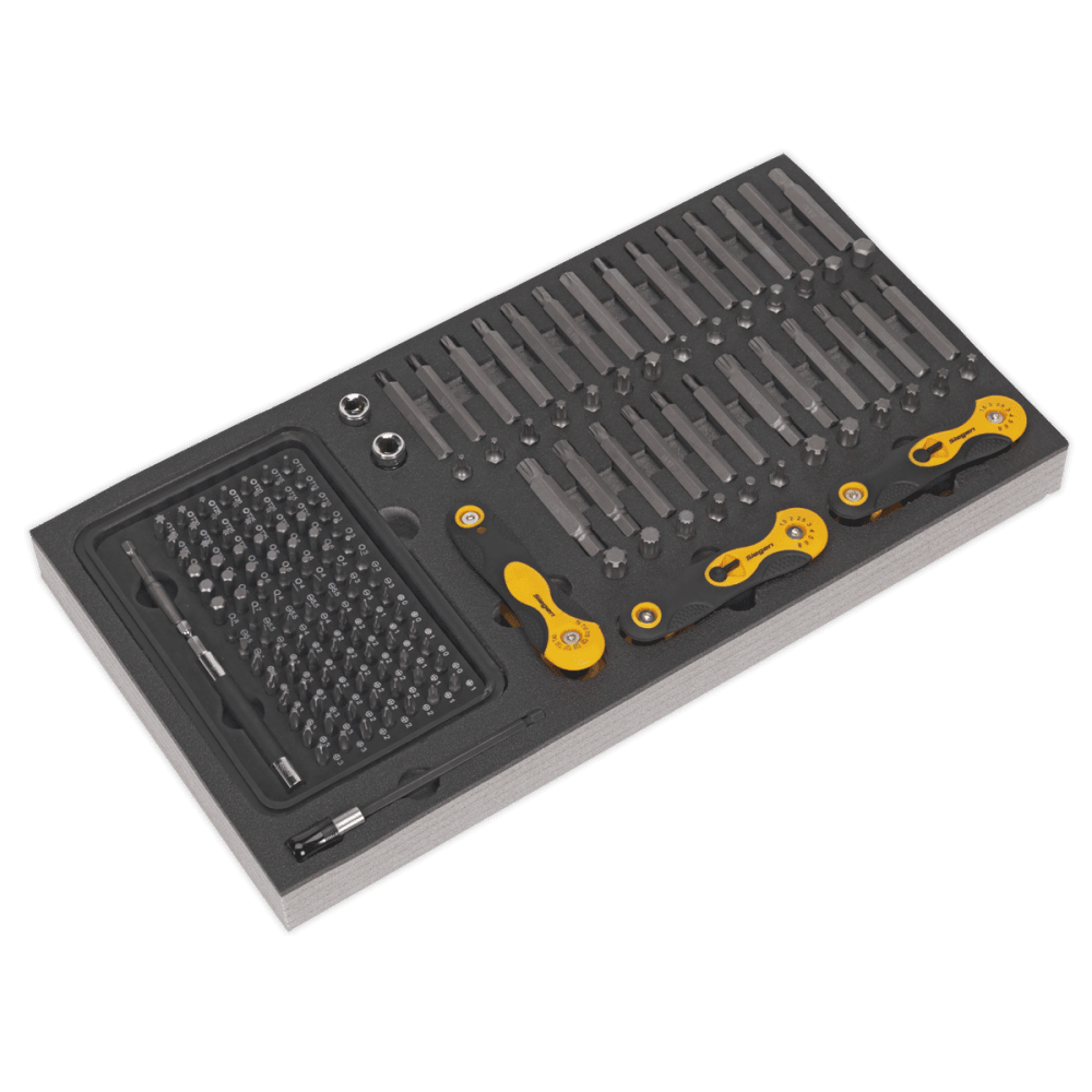 Tool Tray with Specialised Bits & Folding Hex Keys 192pc Model No- 22244