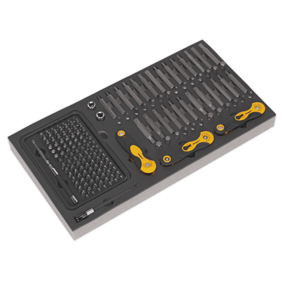 Tool Tray with Specialised Bits & Folding Hex Keys 192pc Model No- 22244