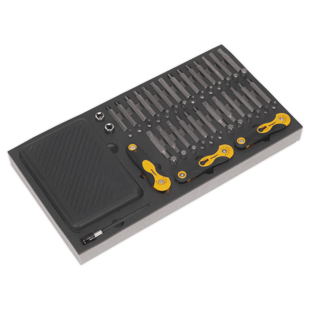 Tool Tray with Specialised Bits & Folding Hex Keys 192pc Model No- 22244