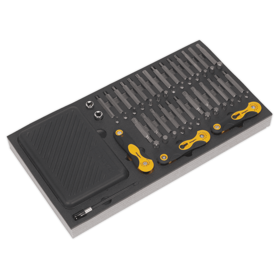 Tool Tray with Specialised Bits & Folding Hex Keys 192pc Model No- 22244