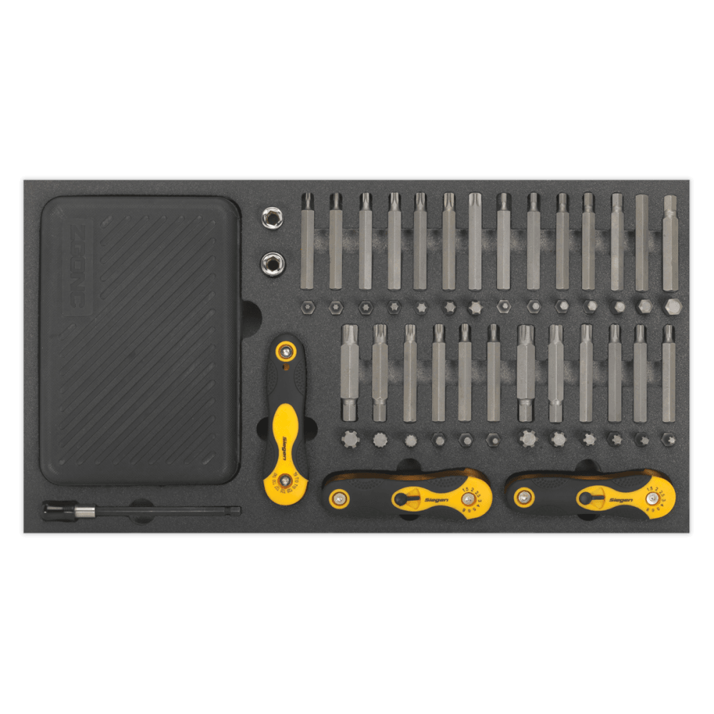 Tool Tray with Specialised Bits & Folding Hex Keys 192pc Model No- 22244