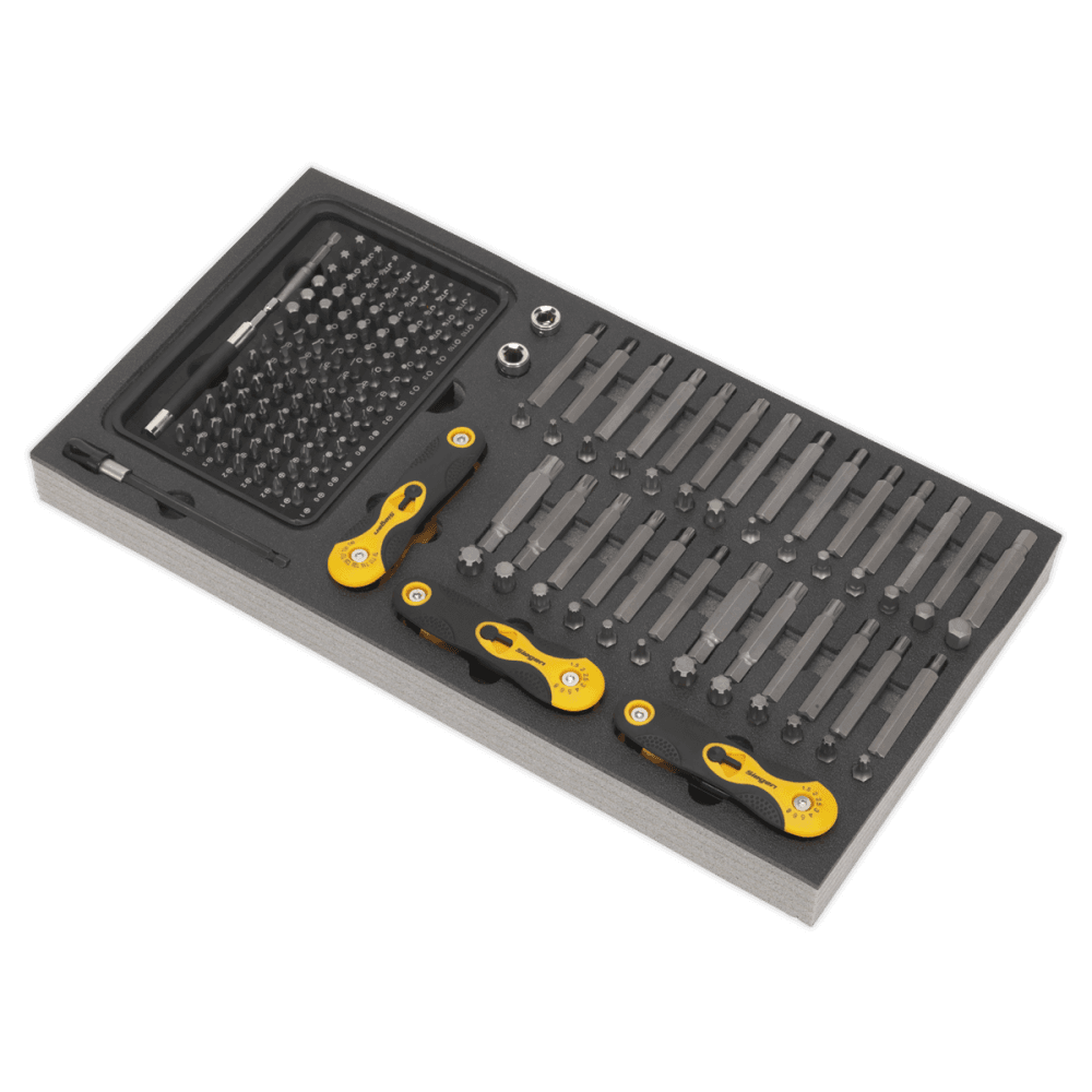 Tool Tray with Specialised Bits & Folding Hex Keys 192pc Model No- 22244