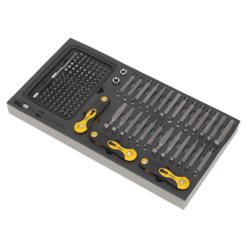 Tool Tray with Specialised Bits & Folding Hex Keys 192pc Model No- 22244