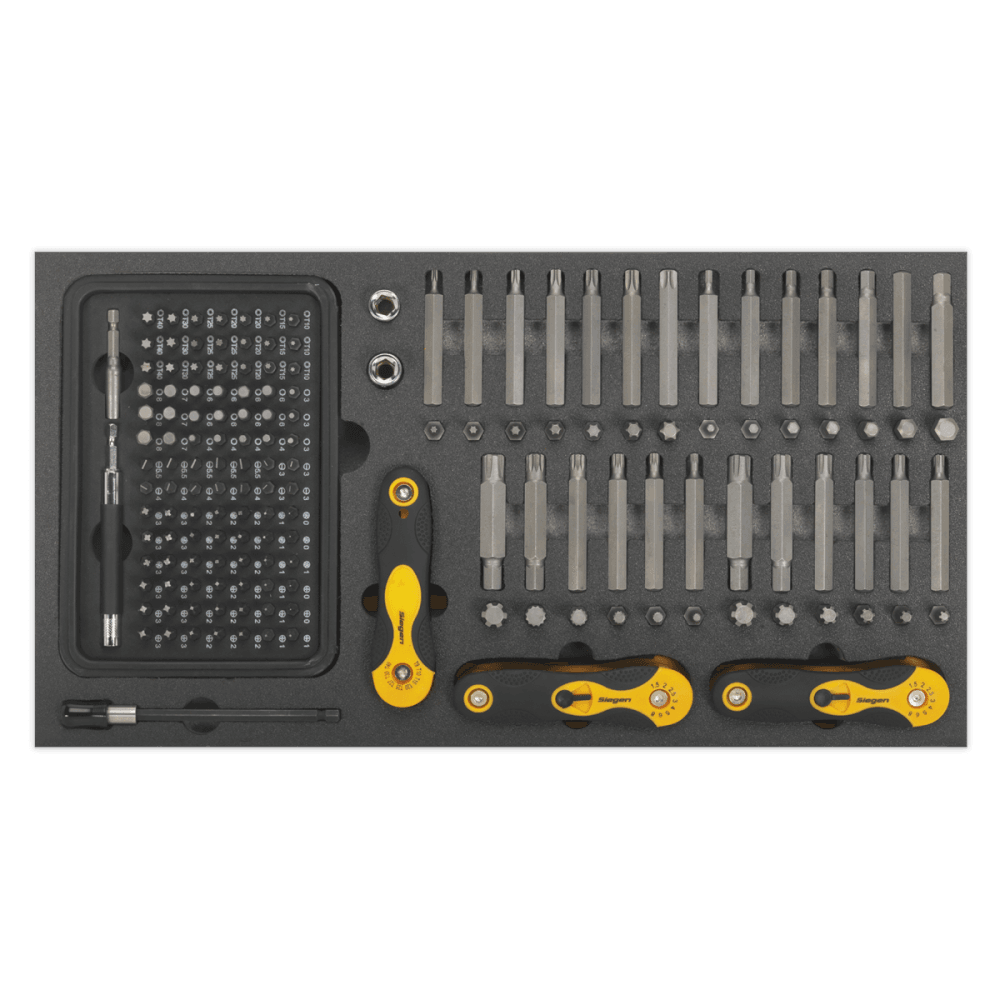 Tool Tray with Specialised Bits & Folding Hex Keys 192pc Model No- 22244