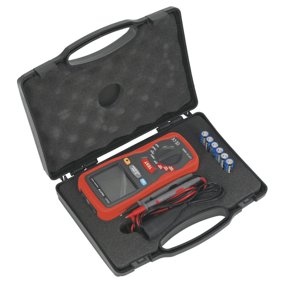 Digital Insulation Tester Model No- TA319