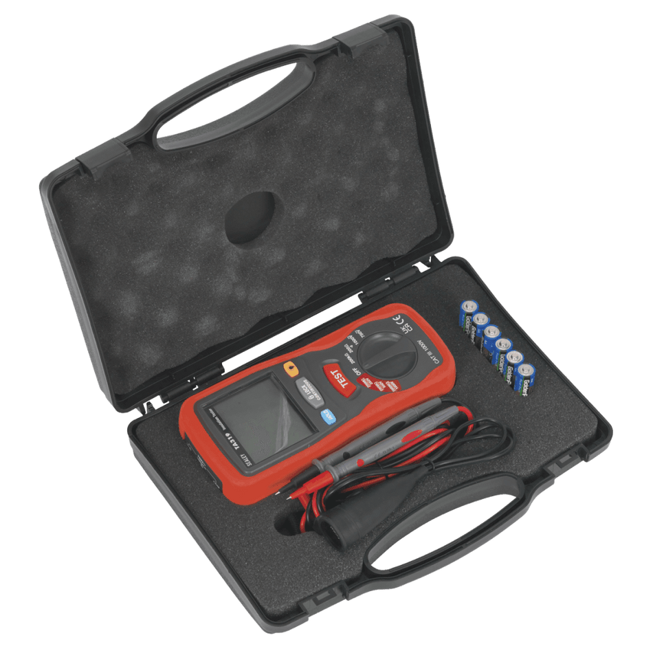 Digital Insulation Tester Model No- TA319