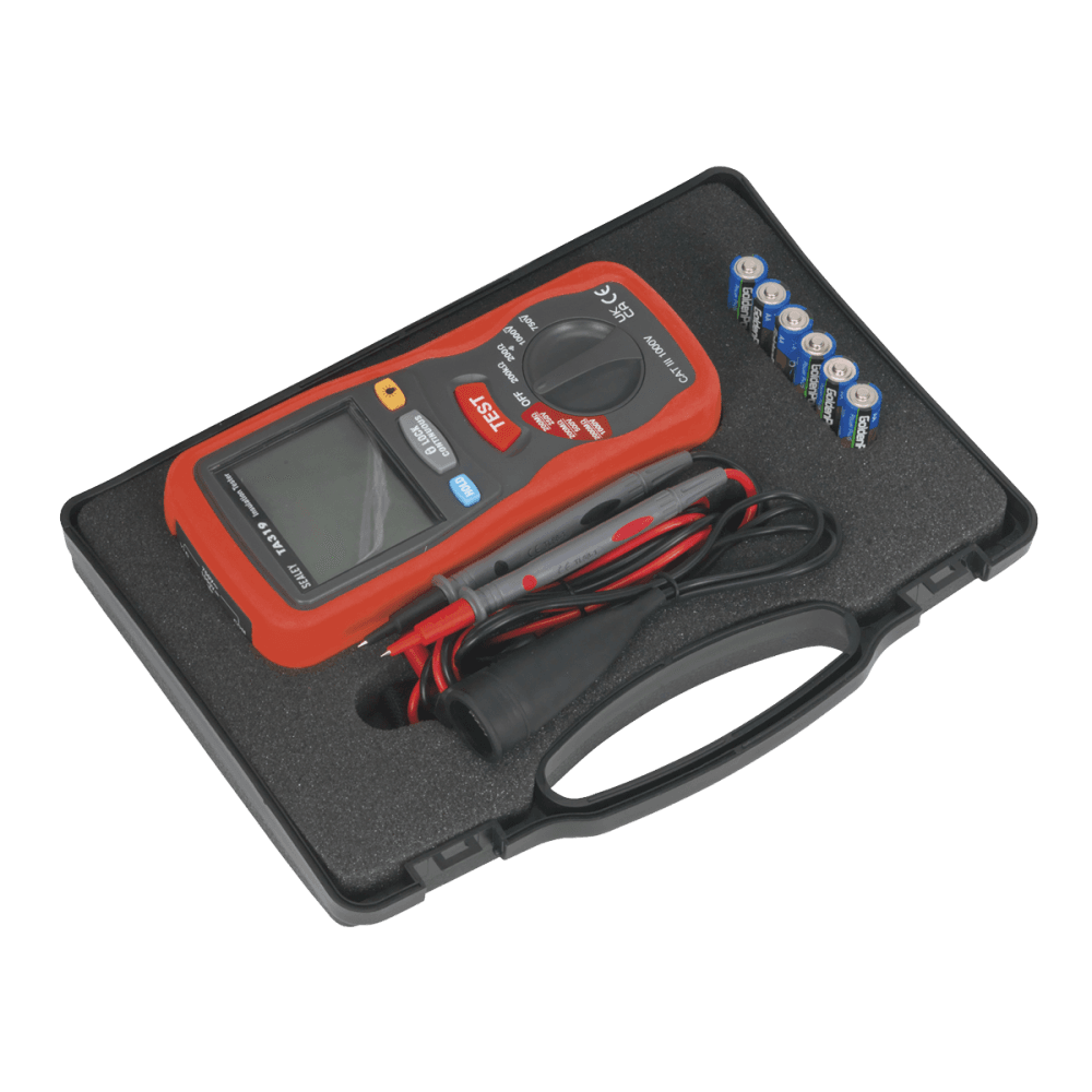 Digital Insulation Tester Model No- TA319