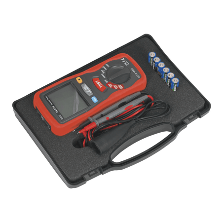 Digital Insulation Tester Model No- TA319