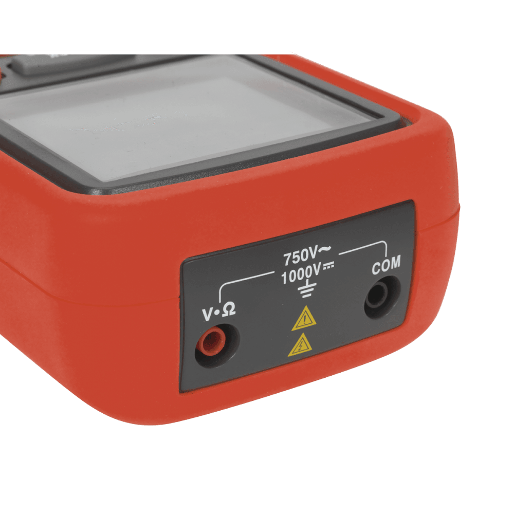 Digital Insulation Tester Model No- TA319