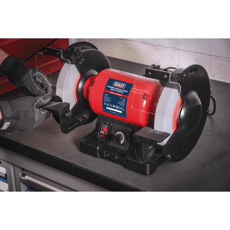 Bench Grinder 200mm Variable Speed Model No- 21320