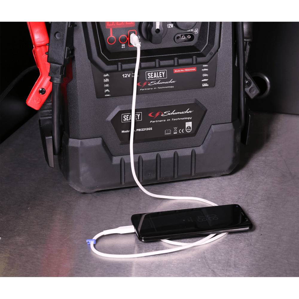 Sealey 12V RoadStart® Emergency Jump Starter 2300 Peak Amps Model No-PBI2212GS