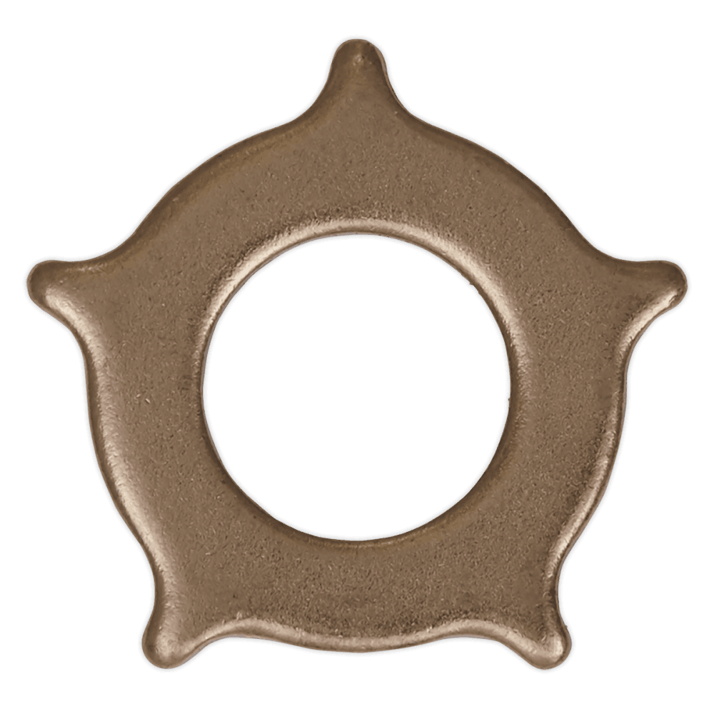 Sealey Star Washers for SR2000 Pack of 10 Model No-SR2000.SW