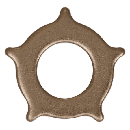 Sealey Star Washers for SR2000 Pack of 10 Model No-SR2000.SW