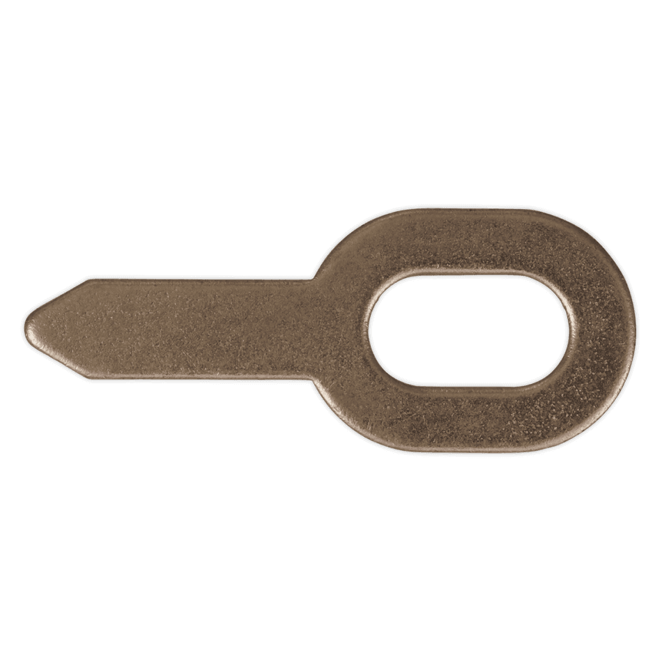 Sealey Tabs for SR2000 Pack of 10 Model No-SR2000.T