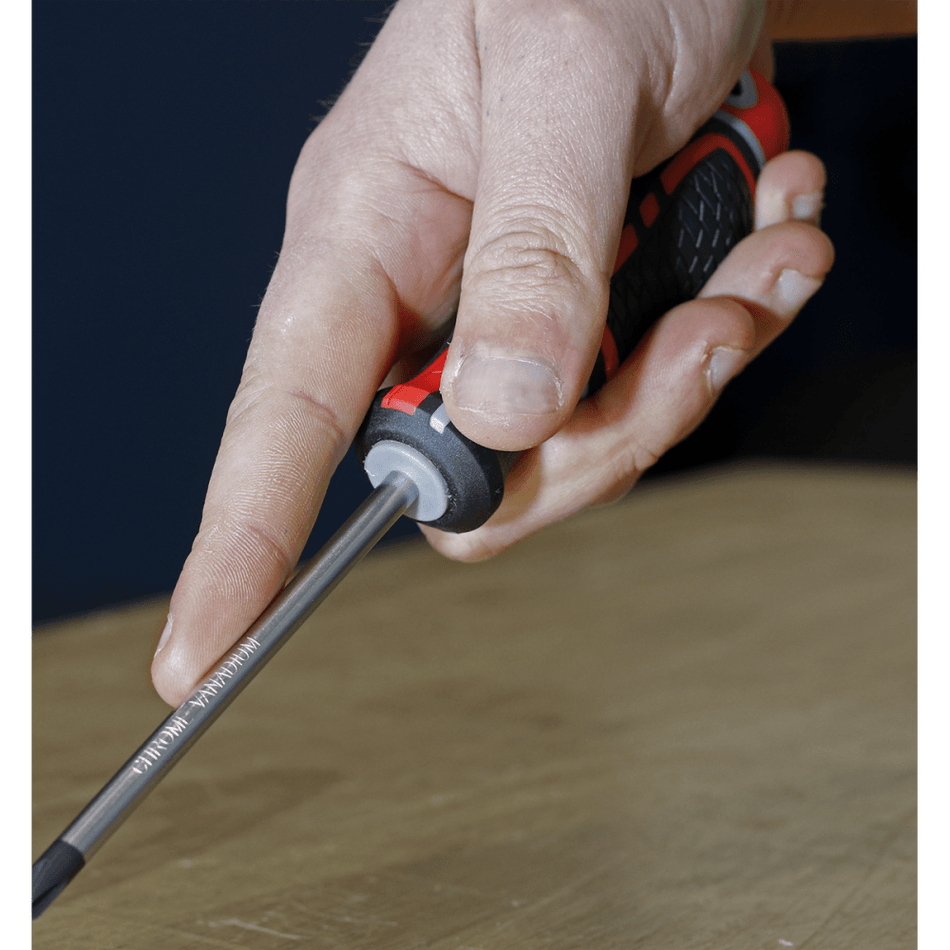 Sealey Screwdriver Phillips #2 x 100mm GripMAXÂ¶© Model No.-AK4361