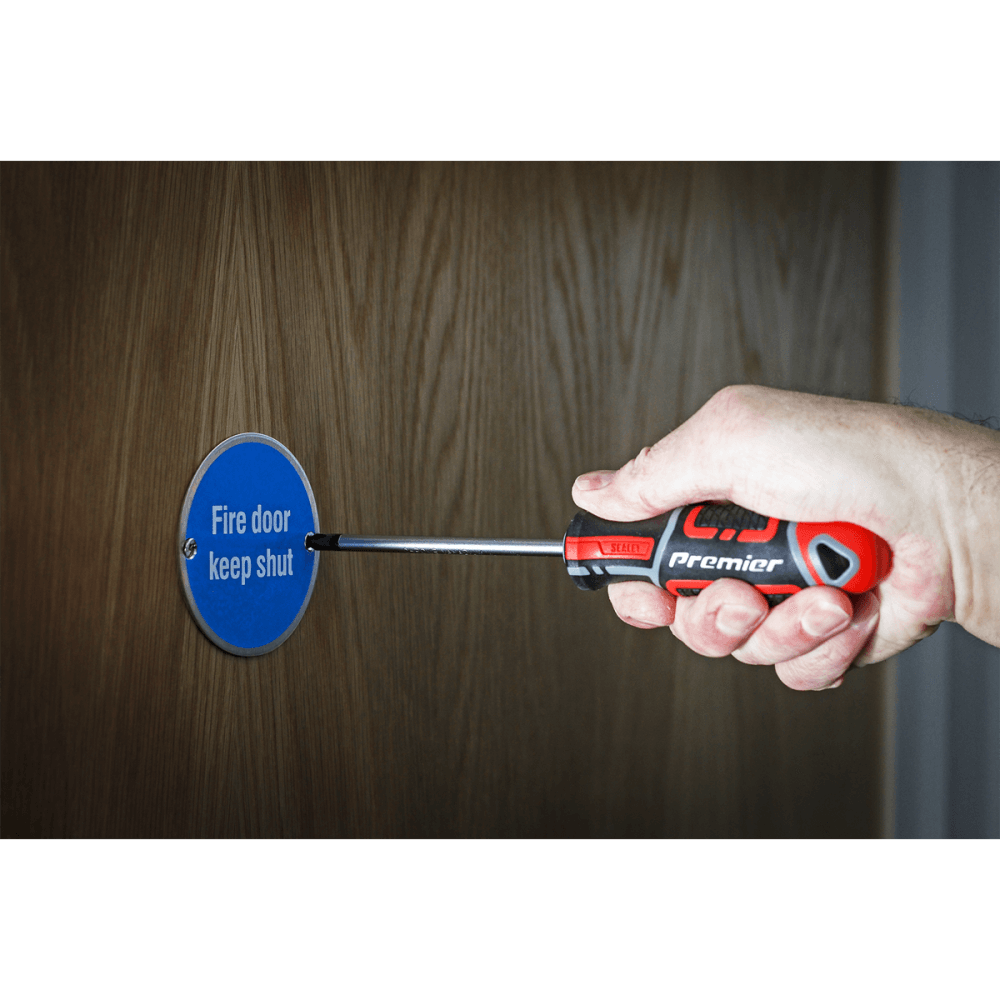 Sealey Premier GripMAX® Phillips Screwdriver #2 x 100mm Model No.-AK4361