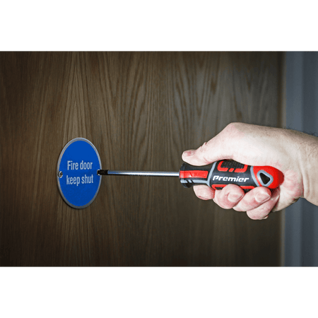 Sealey Premier GripMAX® Phillips Screwdriver #2 x 100mm Model No.-AK4361