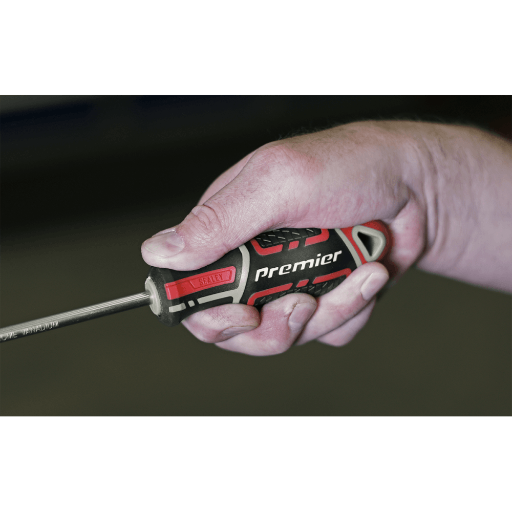 Sealey Premier GripMAX® Phillips Screwdriver #2 x 100mm Model No.-AK4361