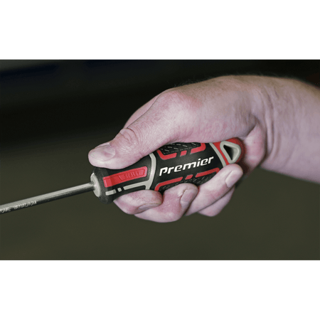 Sealey Premier GripMAX® Phillips Screwdriver #2 x 100mm Model No.-AK4361
