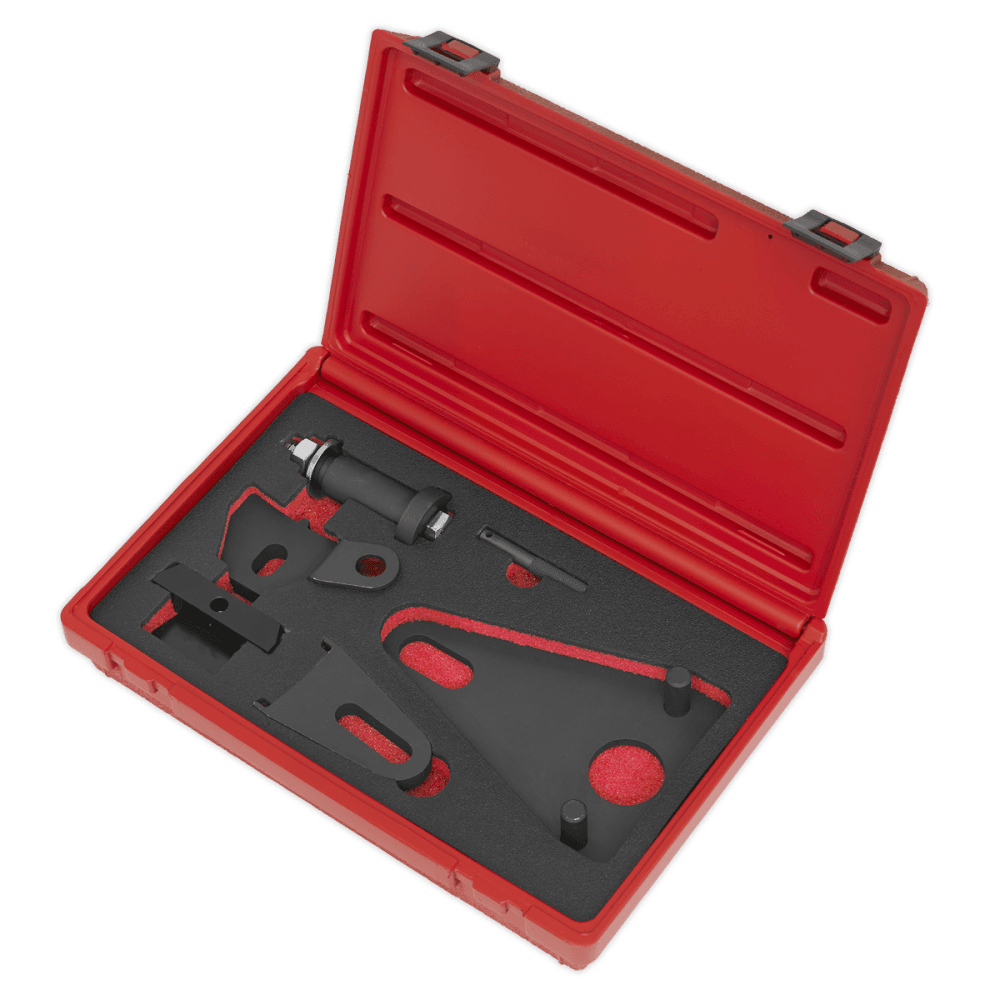 Sealey Front Pulley & Flywheel Locking Tool Set Model No.-VSE5032