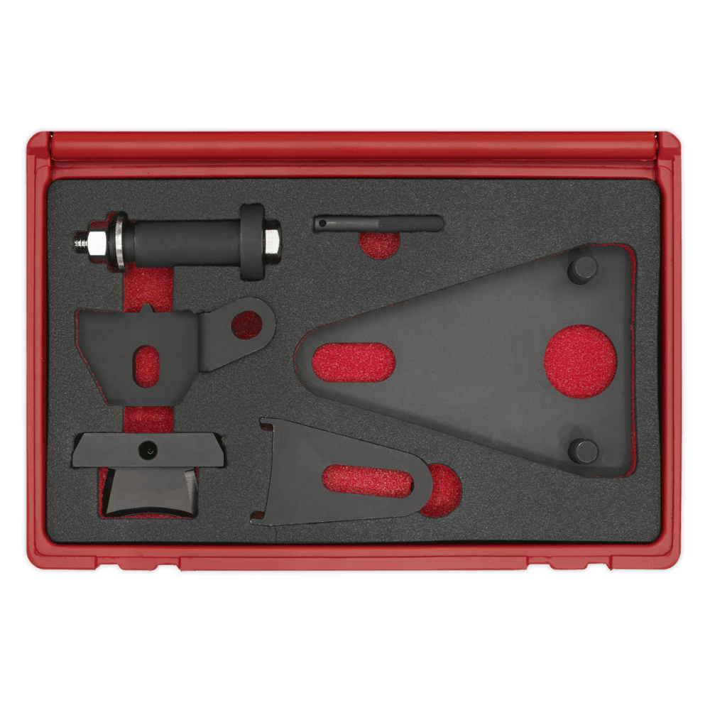 Sealey Front Pulley & Flywheel Locking Tool Set Model No.-VSE5032