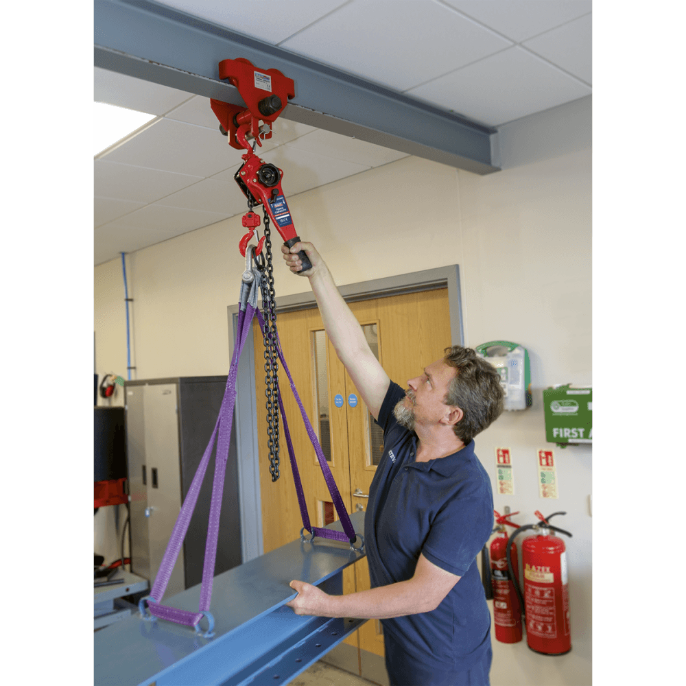 Sealey Lever Hoist Steel 750kg Model No-LH750