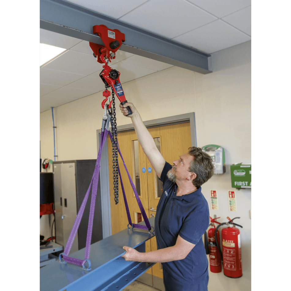 Sealey Lever Hoist Steel 750kg Model No-LH750