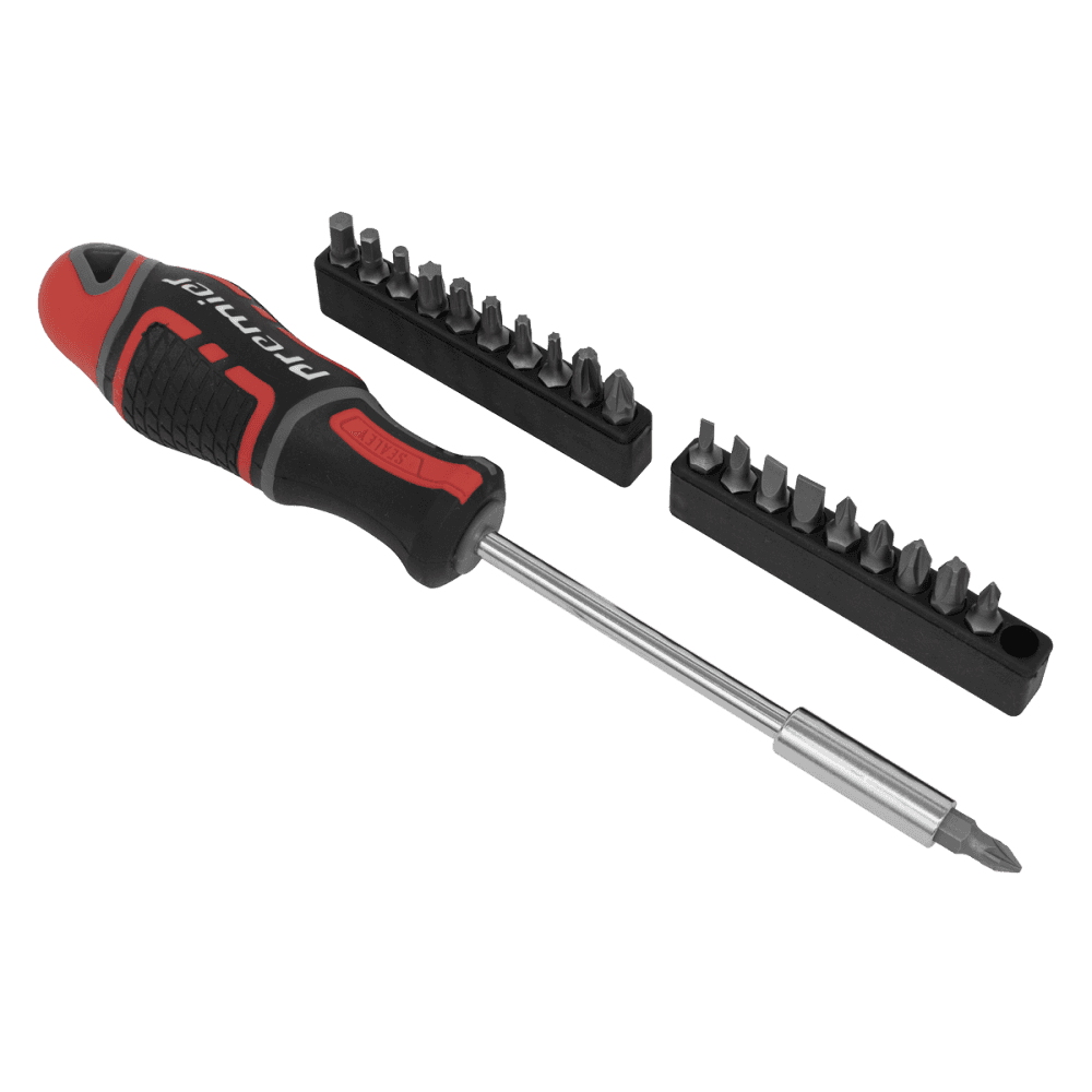 Screwdriver & Bit Set 21pc GripMAX, Model No-AK4329