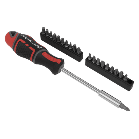 Screwdriver & Bit Set 21pc GripMAX, Model No-AK4329