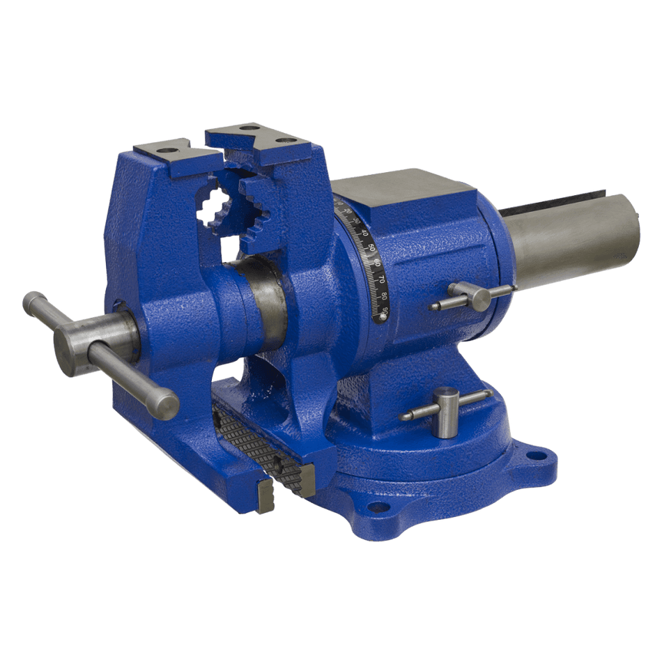 Vice Cast Iron Multifunction Swivel Base 150mm Model No-MFV150