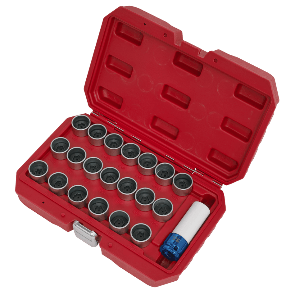 21pc Locking Wheel Nut Key Set - BMW Model No-SX217