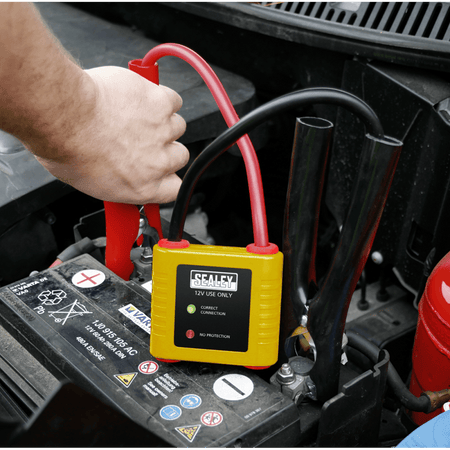 Sealey Auto Electronics Protection Device 12V Model No-PROSAF/12