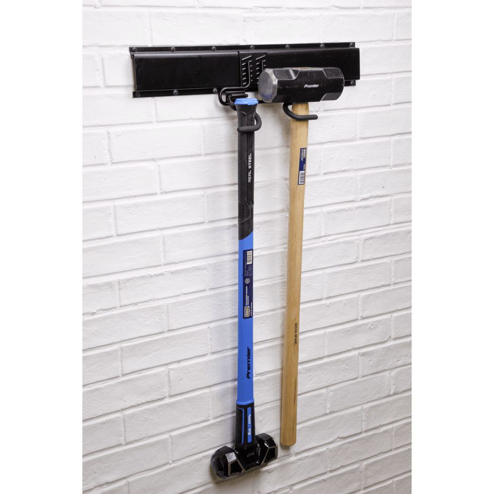 Sealey Storage Hook Double S Model No- APH08