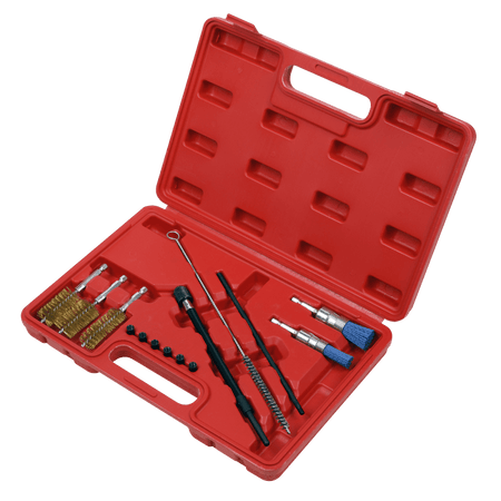 Sealey Cleaning Brush Set Injector Bore 14pc Model No- VS1900