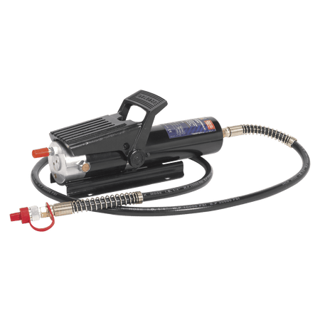 Sealey Air Hydraulic Pump 10tonne with Hose Model No-RE83/840/CWH