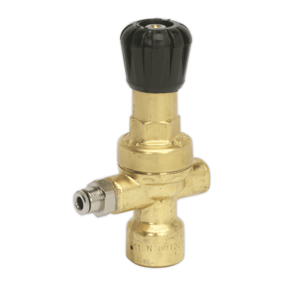 Sealey MIG Gas Regulator Disposable Cylinder No Gauge Model No-REG/MM