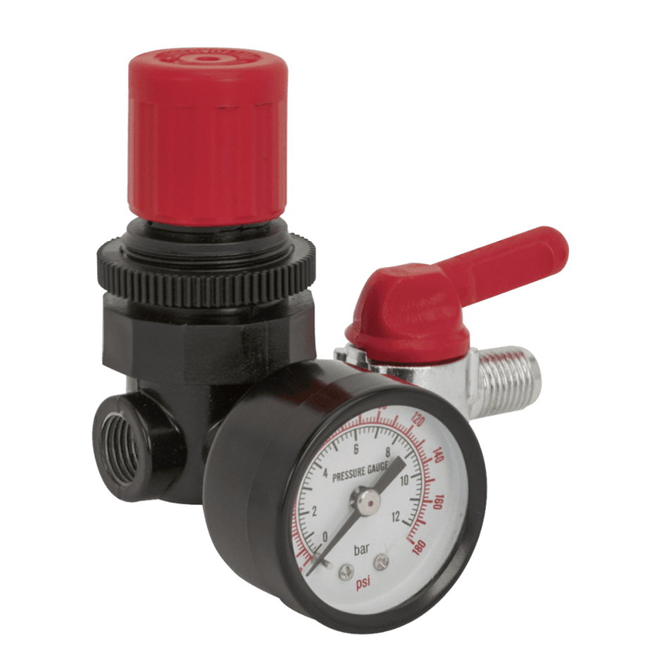 Sealey Air Regulator 1/4"BSP Female - 1/4"BSP Male Model No-SA5/RG/14