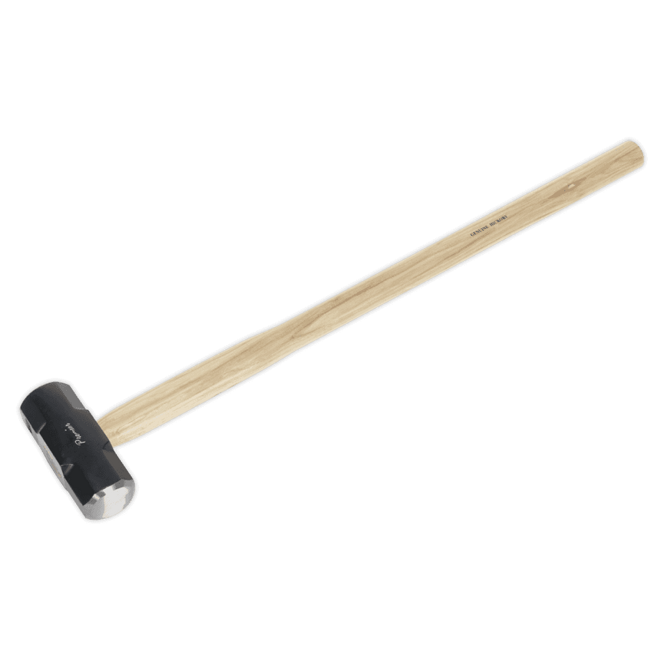 Sealey Sledge Hammer 10lb Hickory Shaft Model No-SLH10