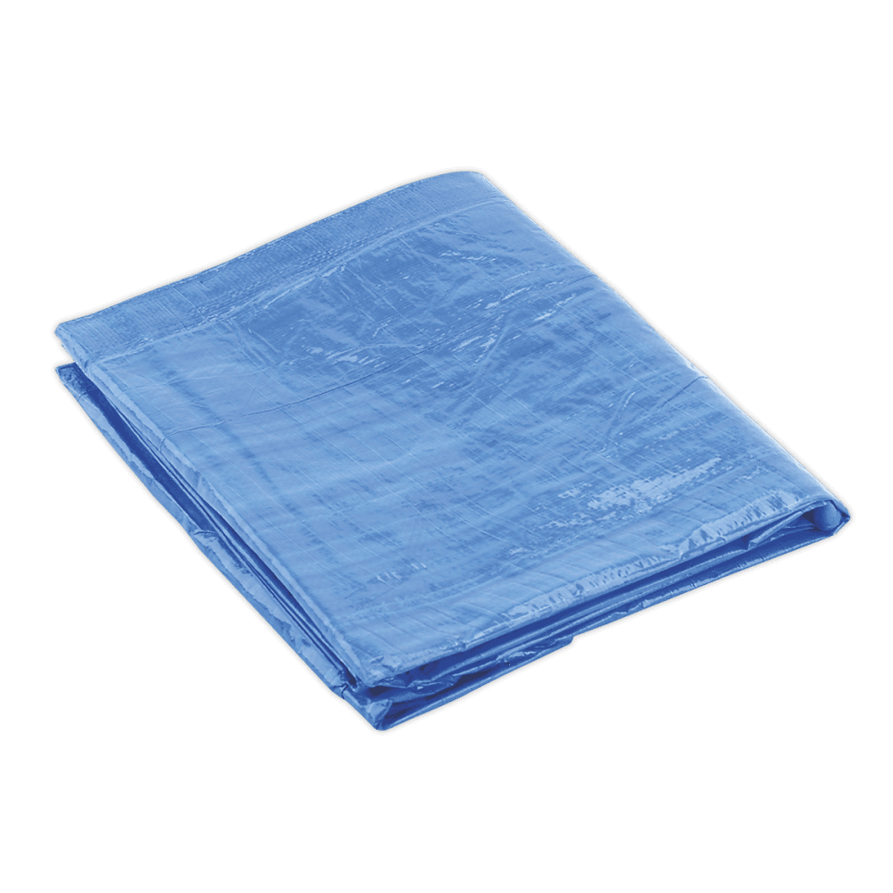 Sealey Tarpaulin 6.10 x 12.19mtr Blue Model No-TARP2040
