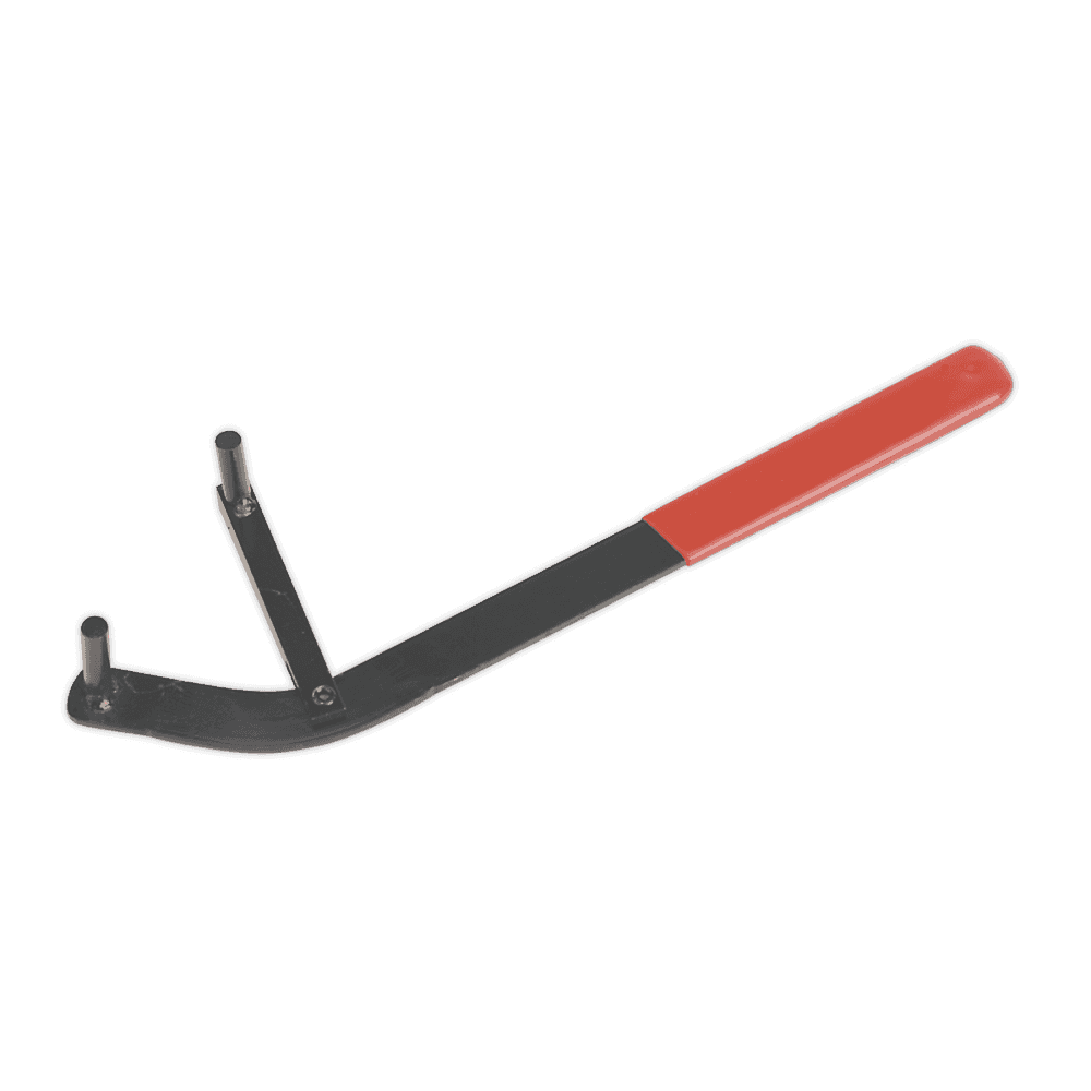 Sealey Camshaft Positioning Tool Model No-VS173