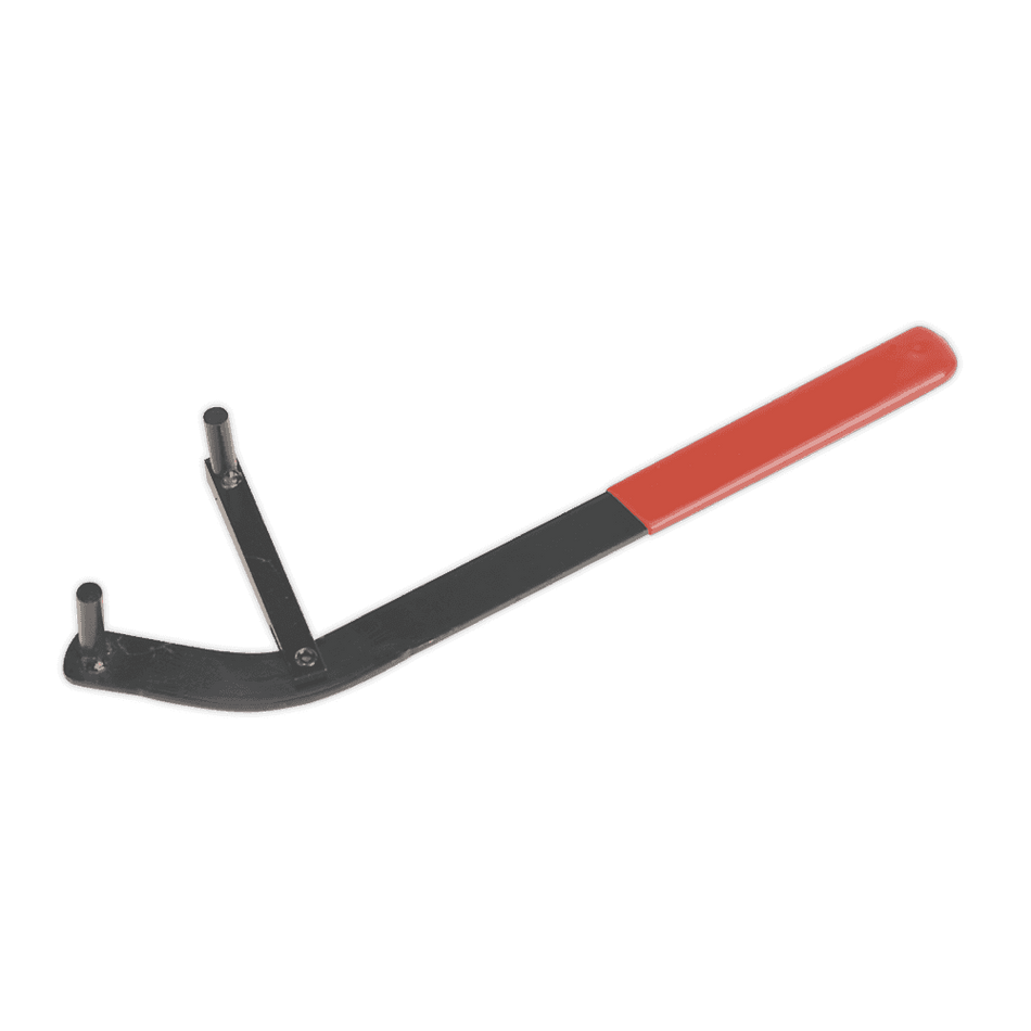 Sealey Camshaft Positioning Tool Model No-VS173