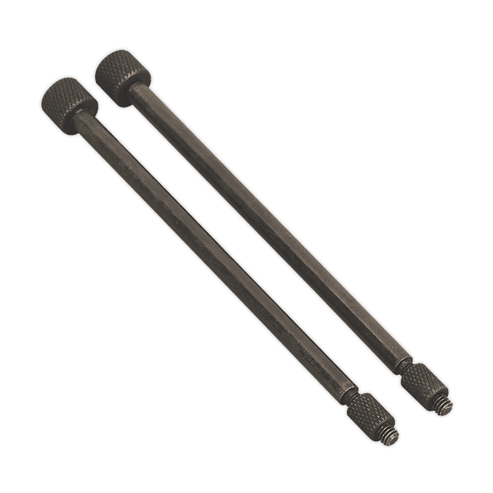 Sealey Door Hinge Removal Pins 5 x 125mm Pack of 2 Model No-VS803/03