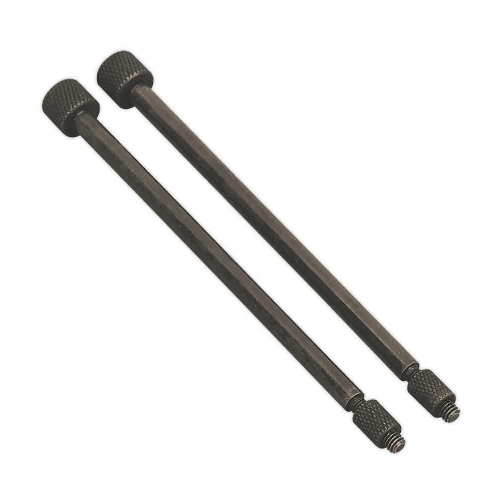 Sealey Door Hinge Removal Pins 5.5 x 110mm Pack of 2 Model No-VS803/04